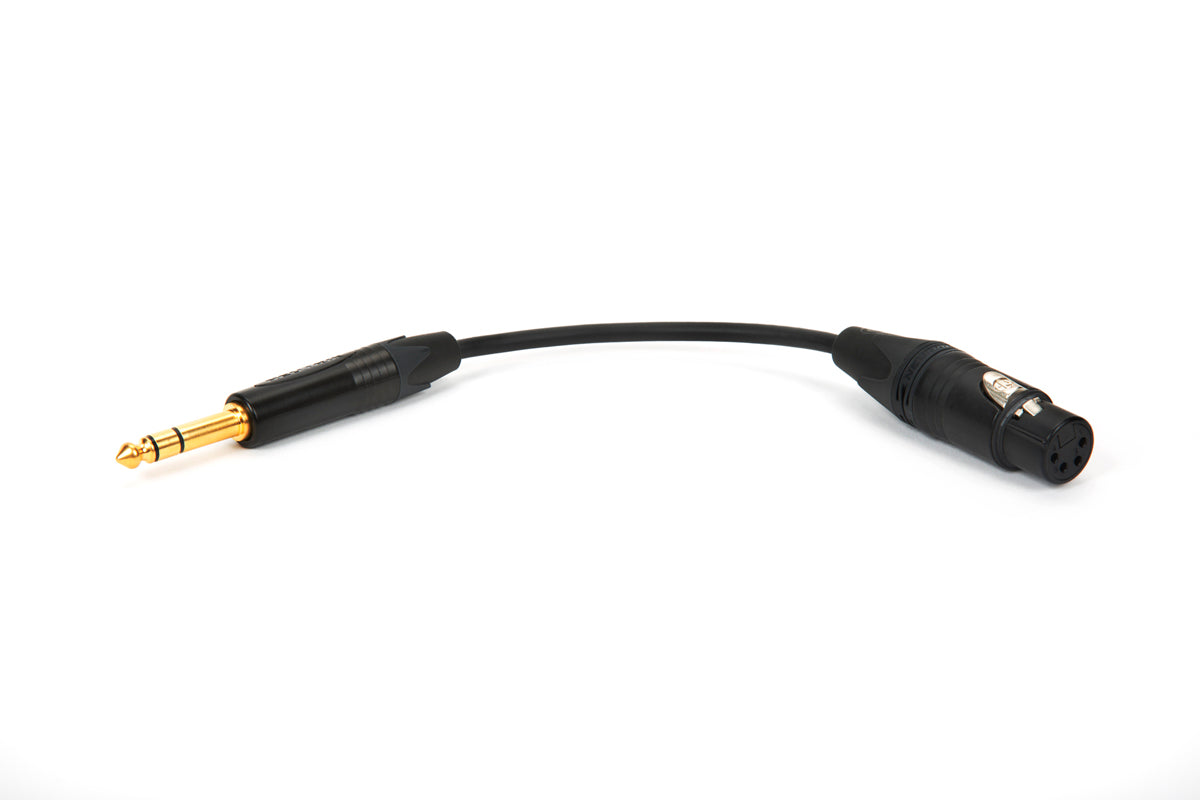 Close-up of Canare L-4E5C adapter connectors, 1/4" TRS to 4-pin XLR