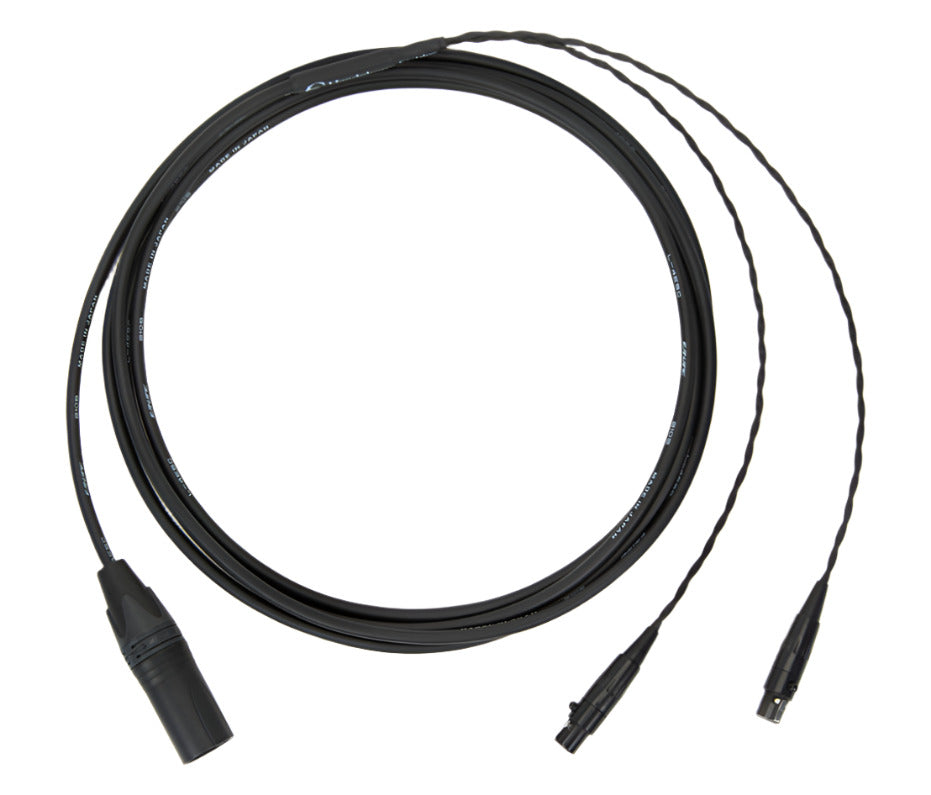 10ft Canare L-4E5C universal cable with dual mini 4-pin XLR connectors and balanced 4-pin XLR plug